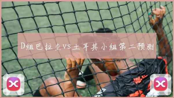 D组巴拉圭vs土耳其小组第二预测