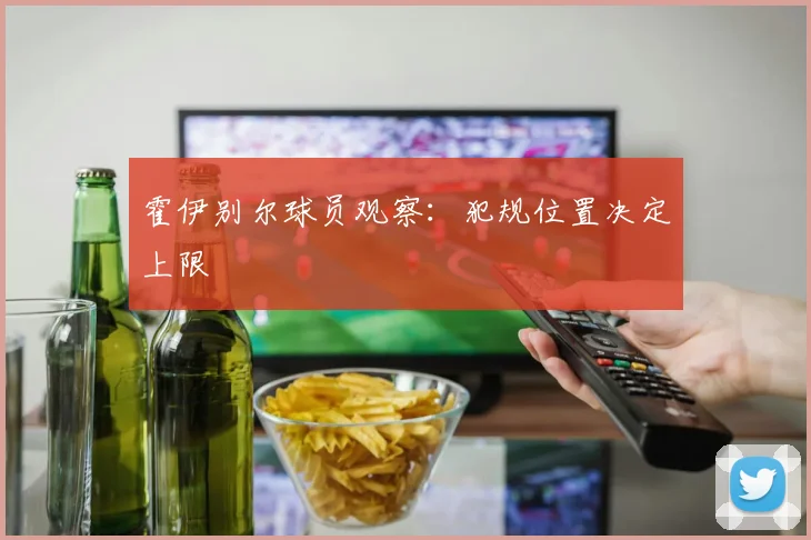 霍伊别尔球员观察:犯规位置决定上限